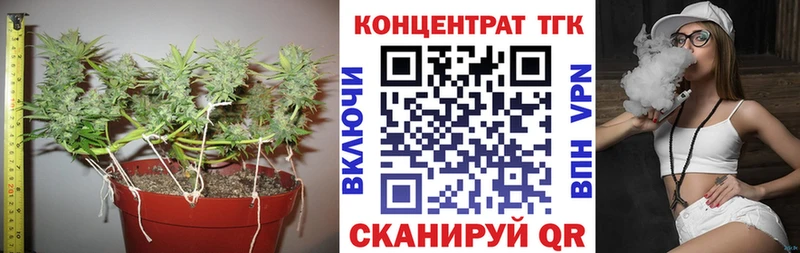 где купить наркоту  Питкяранта  ТГК гашишное масло 