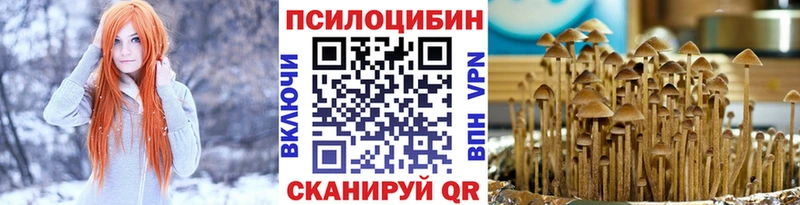 купить  сайты  Питкяранта  Галлюциногенные грибы ЛСД 