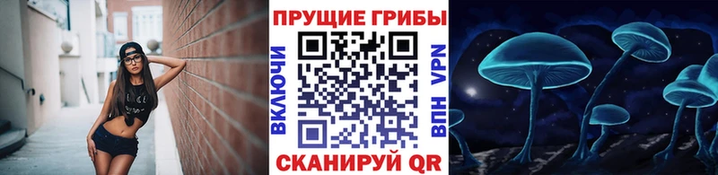 Галлюциногенные грибы GOLDEN TEACHER Питкяранта