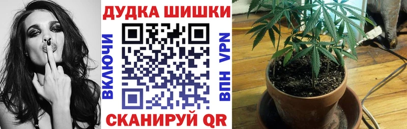 ссылка на мегу сайт  сайты даркнета Telegram  Конопля ГИДРОПОН  Питкяранта 